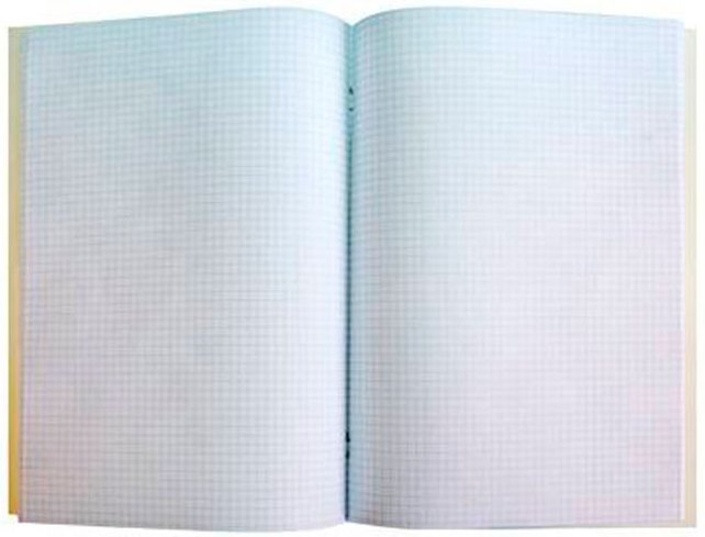Конторская книга 48л офс клетка тв.обл цв (Чич)   