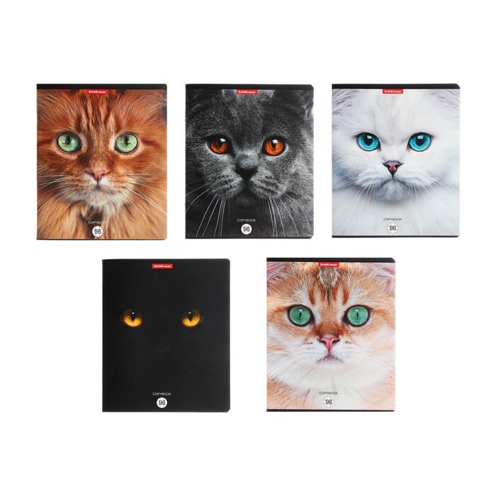 Тетрадь 96л кл ErichKrause Cats, матовая ламинация, микс 9509021