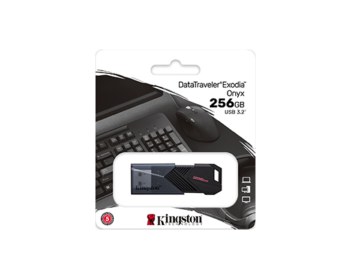 Накопитель USB 256Gb Kingston DataTravele Exodia Onyx 3.2, черный