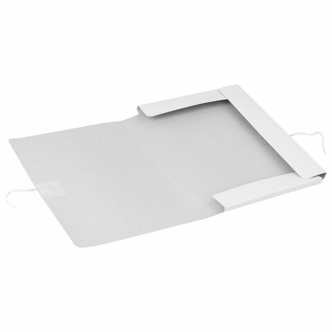Папка с завязками Brauberg 320г/м2 121513