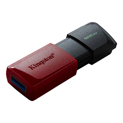 Накопитель USB 128Gb Kingston DT Exodia M 3.2 черный/красный