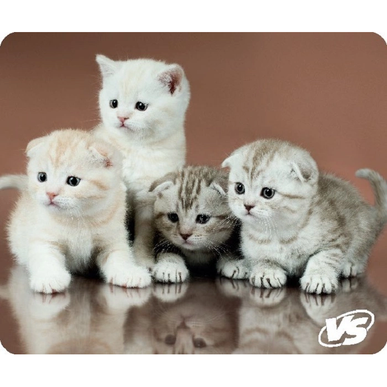 Коврик для мыши Perfeo "Cat", Рис.6 (194*233*3 мм) пластик
